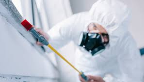 Best Real Estate Pest Inspections  in Shenandoah, TX